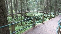 Kanada